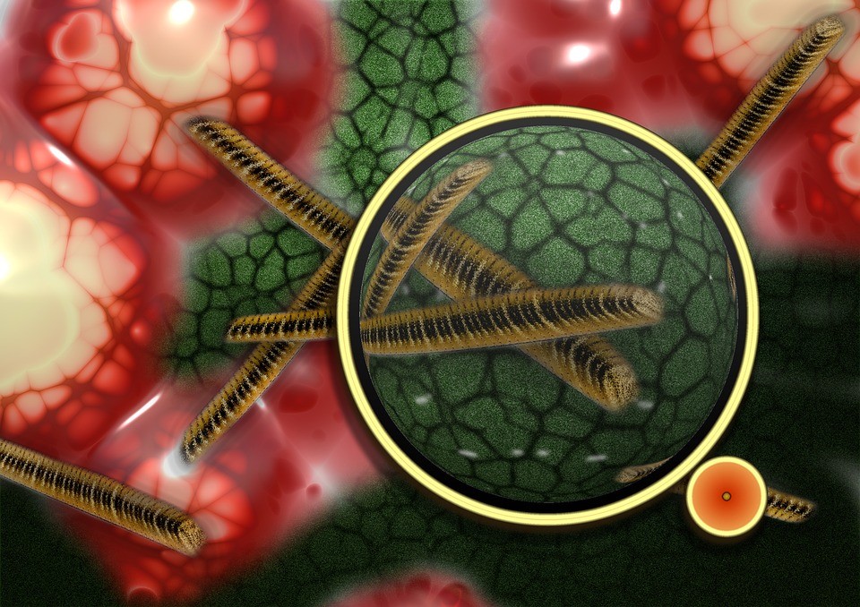 Všechno, co potřebujete vědět o mononukleóze